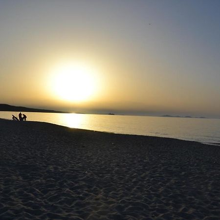 Miramare Struttura Sulla Spiaggia Platamona Exteriör bild