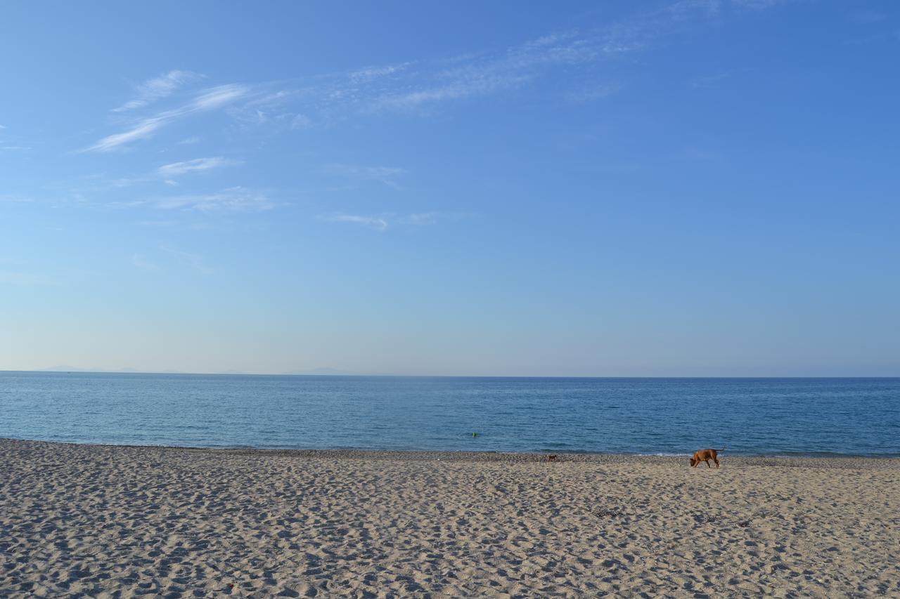 Miramare Struttura Sulla Spiaggia Platamona Exteriör bild